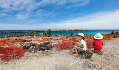 1 Viagem, 2 Maravilhas: Machu Picchu e as Ilhas Galápagos — 5
