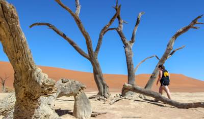 5 Days Sossusvlei & Coast Accommodated Tour — 3