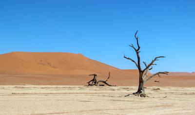 5 Days Sossusvlei & Coast Accommodated Tour — 2