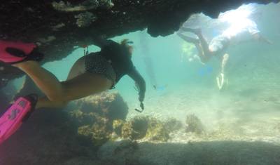 Galapagos Dive Discovery - 4 Days — 4