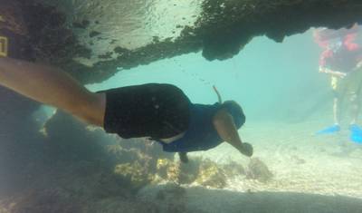 Galapagos Scuba Dive - 5 Days — 5