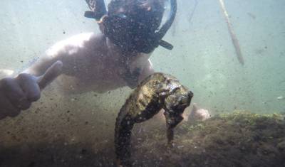 Galapagos Scuba Dive - 5 Days — 4