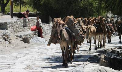 Trekking em Upper Mustang - 15 Dias — 4