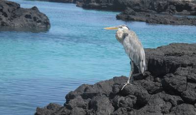 7-dniowa przygoda po Wyspach Galapagos — 2