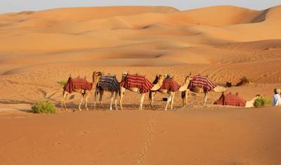 Wycieczka eksploracyjna po Jaisalmer — 2