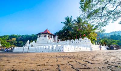 6 Days Sri Lankan Honeymoon Tour — 2