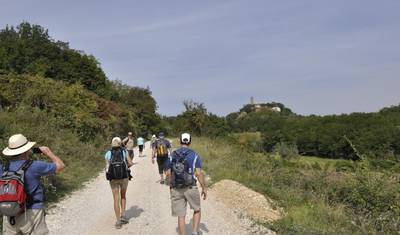 Walking adventure through green Istria - Long tour — 3