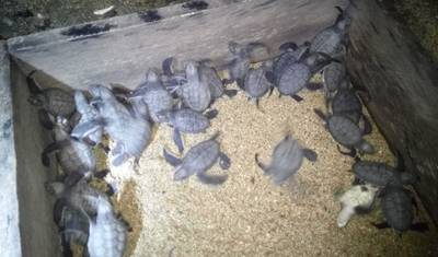 サントメ冒険 5日間/4泊 — 5