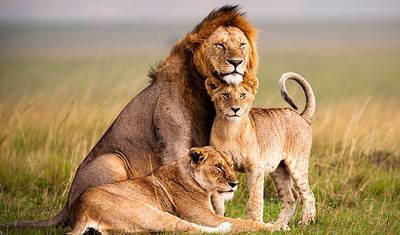 Akagera National Park Rwanda: 2 Days Game Drive and Pastoralist Experience — 2