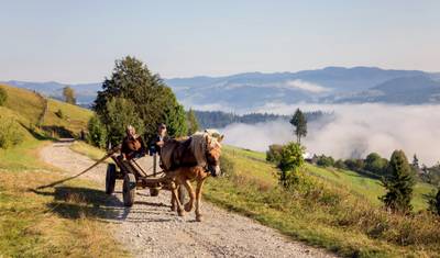 Klasyczne Dziedzictwo Północy: sześciodniowa wycieczka do Maramures i Bukowiny z Cluj-Napoca — 4