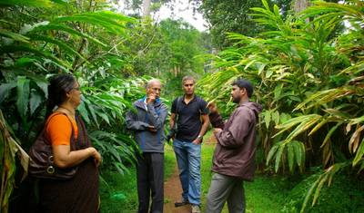 Passeio relaxante por Kerala (Cochin Munnar Alleppy Cochin) — 5