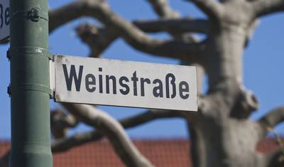 Speyer – Heidelberg – Worms — 5