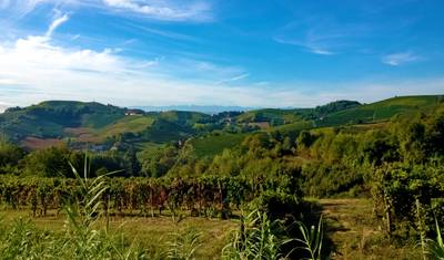 Piemont: Podróż dookoła — 2