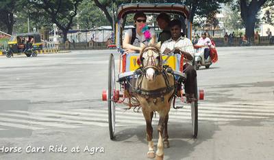 Safari przyrodnicze w Indiach — 5