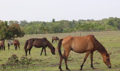 Aventura de 4 Dias na Ilha de Sumba — 5