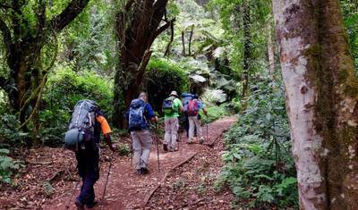 10 Days Mount Kilimanjaro Hike- Lemosho Route — 4