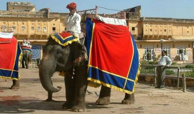 India Heritage Tour with Himachal — 5