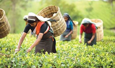 North East India Highlights — 5
