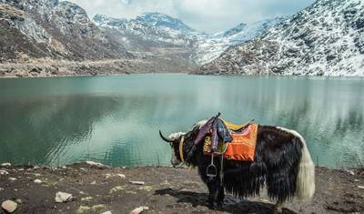 North East India Highlights — 4