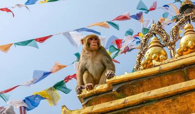 Tailor-Made Private 9 Days Nepal Adventure, Fully Guided & Daily Starts — 3