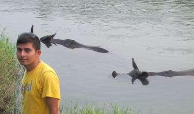 Pacote Turístico Chitwan: 2 Noites e 3 Dias de Safari na Selva com Recolha — 5