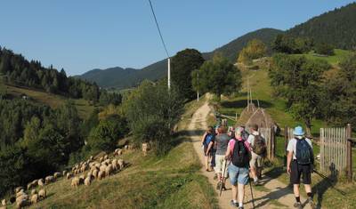 Vida na Aldeia Transilvana nas Montanhas Cárpatos: Uma Experiência Eco-Certificada — 5