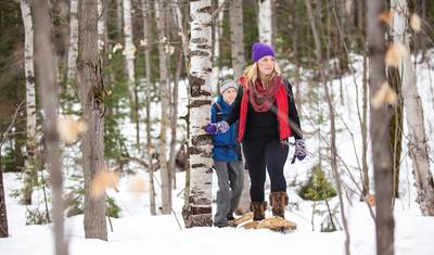 Algonquin Winter Log Cabin Adventure — 2