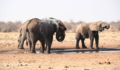 Viagem privada à Namíbia, Botsuana, Zimbábue — 5