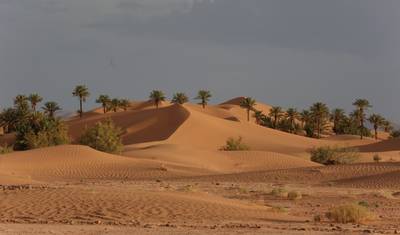 8 Days Adventure Desert Tour from Marrakech — 2