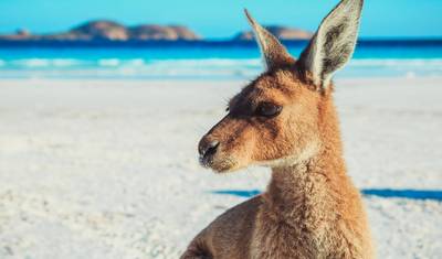 جولة مغامرة 6 أيام إلى Esperance وMargaret River — 4