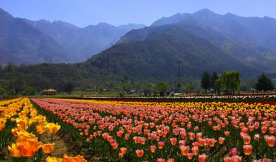 Blissful Kashmir — 2