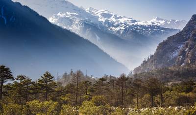 Alpejska wycieczka po Północnym Sikkimie — 2