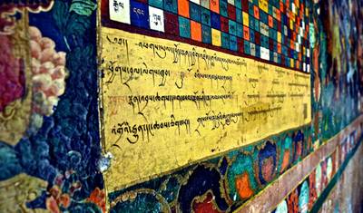Ladakh Único — 4