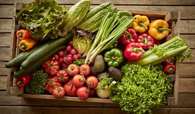 Região Vinícola e Rota Jardim: Saúde e Bem-Estar: Tratamentos de Spa - Culinária Nutritiva - Vinho Fino (5 Dias) — 2