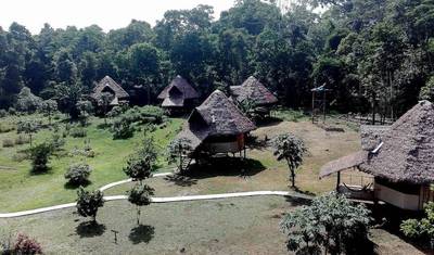 Colpa de Araras de Tambopata: 3 Dias/2 Noites — 4