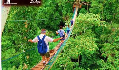 Tambopata: Barranco de Araras e Lago Sandoval – 5 Dias/4 Noites — 5