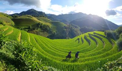 Best of Northern Vietnam — 4