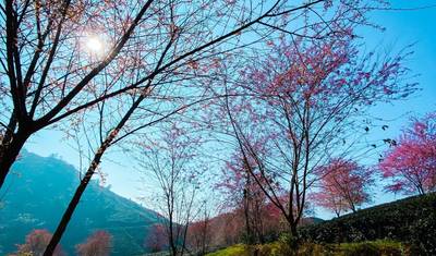 Best of Northern Vietnam — 3