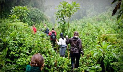 Safari de 12 Dias em Uganda: Primatas e Vida Selvagem — 3