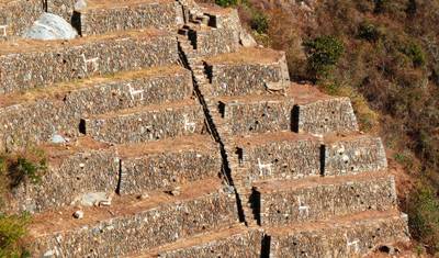 5 Day Choquequirao Trek – Private Service — 2