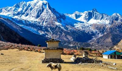 Trek wokół Manaslu - 9 dni — 4