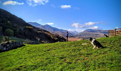 Irish Twist — 4