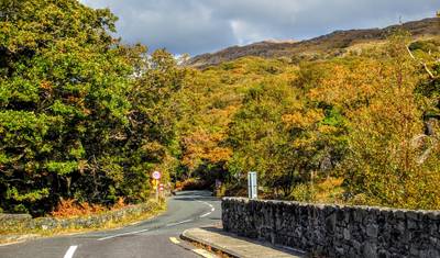 Kerry Royal — 4