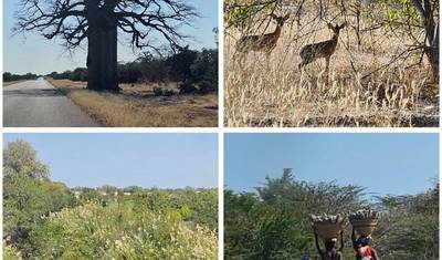 Safari Expresso Namibie 4D/3N — 3