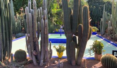 10-Day Kasbahs & Deserts of Morocco - Private tour — 3