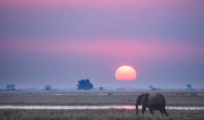 Essential Sri Lanka 7 Day Private Car Tour — 2