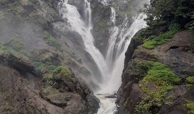 Dudhsagar Falls and Tambdisurla Temples Day Tour from Goa — 3