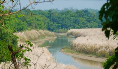 Safari w Bardiya — 5