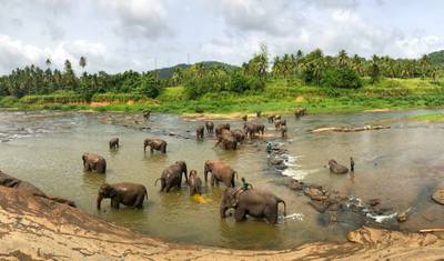 4 Days Tour In Sri Lanka — 5