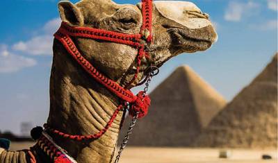 أفضل ما في مصر — 2